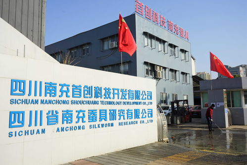 技術(shù)創(chuàng)新賦能高坪工業(yè)高質(zhì)量發(fā)展